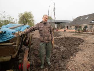 Al bijna twintig jaar plannen voor woningbouw in Soestdijk, maar zal er ooit een paal worden geslagen?