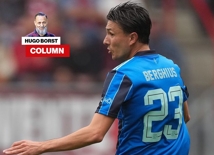 Column Hugo Borst