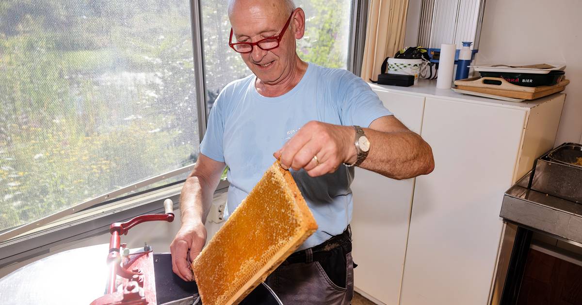 Beschermend pak voor bijen van polyester, compleet met afneembare capuchon, ademende handschoenen en kooi, elastische manchetten, professionele uitrusting voor imkers (XL