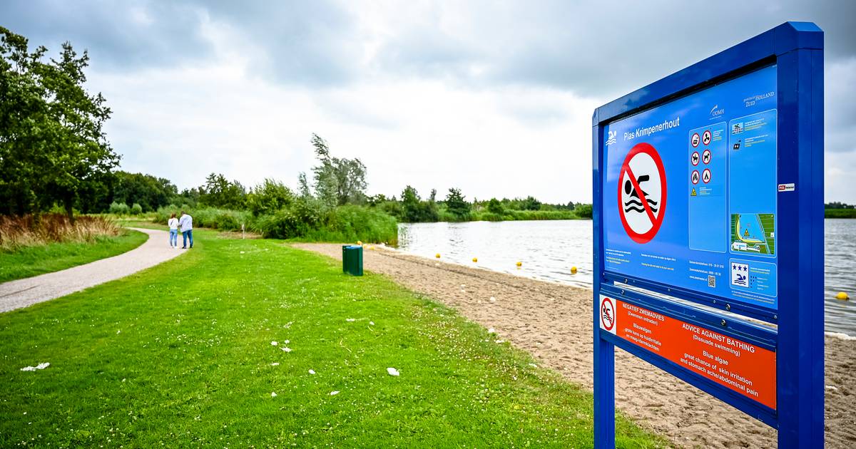 Preventing and Dealing with Blue-Green Algae: Why Some Lakes Have Bathing Advisories and Warnings