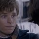 'Fantastic Beasts And Where To Find Them': de spin-off van Harry Potter met Eddie Redmayne (trailer)