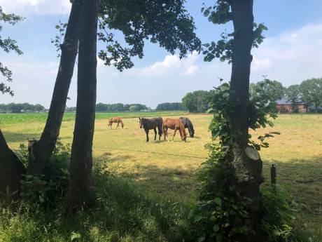 Kosten rondweg Volkel lopen nu al op: 9 miljoen euro extra nodig  
