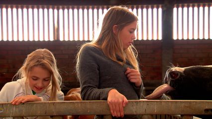 Aflevering 4