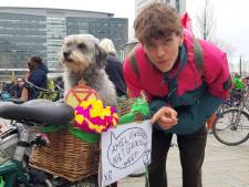 Bijna tweeduizend demonstranten voerden bij Amelisweerd actie tegen verbreding A27: ‘Krijg de asfaltering!’