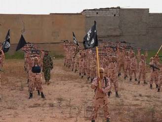 Al-Qaida lanceert grootse rekruteringscampagne om strijders bij IS weg te kapen na ineenstorting van kalifaat