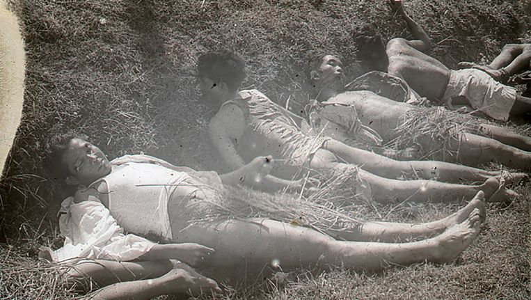 Zes lichamen van Indonesiërs. De mannen zijn neergeschoten, hun ontklede onderlichamen zijn met stro bedekt. Beeld .