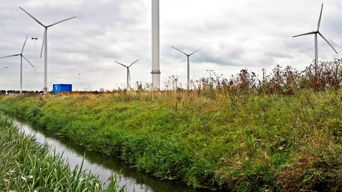 Natuurplein Baronie: ‘Stel plan voor Energiepark Oosterhout uit’