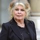 Brigitte Bardot stuurt brief naar de kat van Lagerfeld
