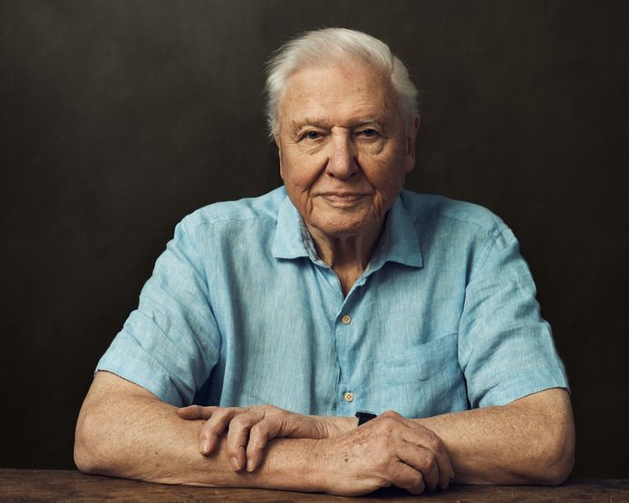 Britse bioloog en documentairemaker David Attenborough