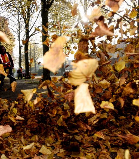 ‘Luidruchtige en vervuilende’ bladbazers in Deventer leiden tot vragen: ‘Kan dat echt niet anders?’
