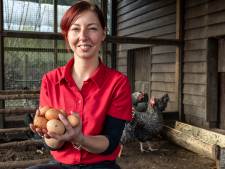 Een eierbuffet met Pasen kan best. Maar elke dag omelet, dat is geen goed idee