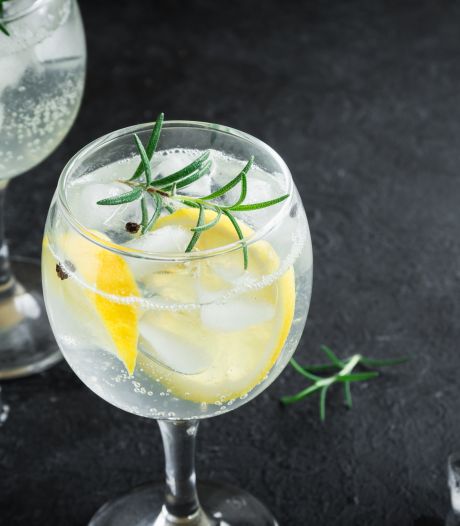 Alcoholvrije gin getest: ‘Met een scheut tonic erbij verandert het in een godendrank’