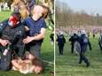 Un rassemblement de milliers de personnes au Bois de la Cambre dégénère: 22 arrestations et plusieurs dizaines de policiers blessés