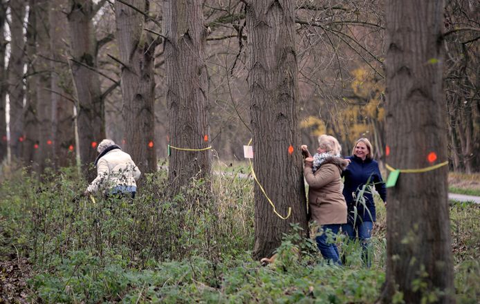 December 2018: Spijkenissers voeren actie tegen de bomenkap in het Mallebos.
