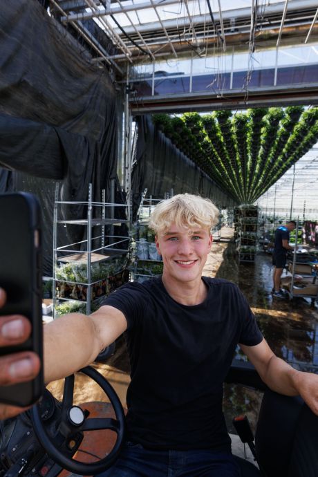 Jordi (18) uit Emmeloord vlogt over zijn werk bij rozenkweker in Luttelgeest: ‘Meer jongeren in de kas’
