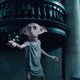 Het graf van Dobby mag blijven, de sokken en andere aandenkens van fans niet