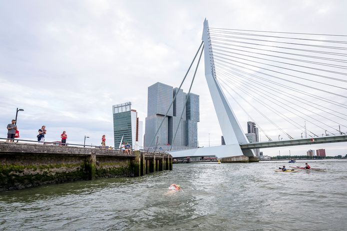 Een eerdere editie van de Rotterdam Swim waarbij deelnemers een rondje zwemmen van 3 kilometer op de Maas voor het goede doel.