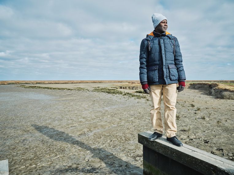 La pesca illegale di squali in Mauritania minaccia i trampolieri nei Paesi Bassi