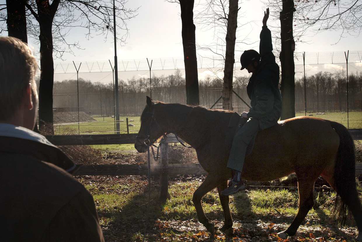 Paardentherapie in Balkbrug,  2017. Beeld Marcel van den Bergh