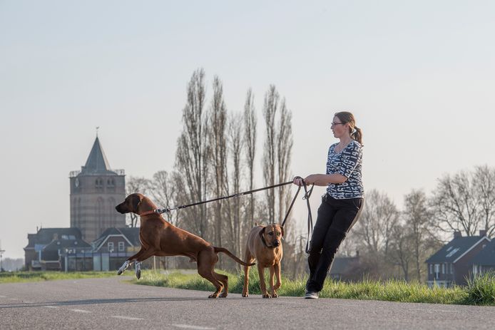 De dijk bij Varik.