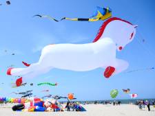 Het is weer feest boven het strand van Renesse; ‘Kijk die lach op de gezichten, daar doe je dit voor’
