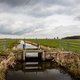 Het land is te nat of juist te droog, tweederde waterschappen haalt niet altijd het gewenste waterpeil