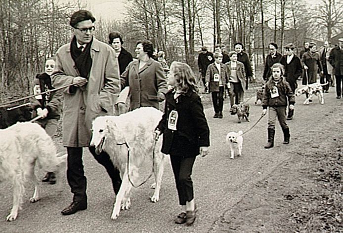 Hondenwandeling in Oirschot omstreeks 1970
