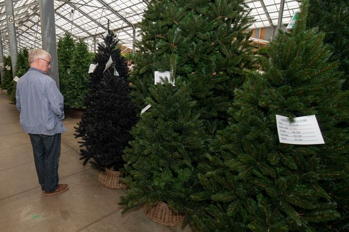 Bij tuincentrum Van Uytsel in Kontich zijn er al kerstbomen te koop