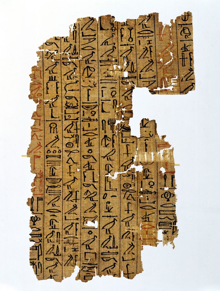 Fragment van het Egyptisch Dodenboek, een verzameling op papyrus geschreven teksten die aan doden werden meegegeven. Beeld SSPL via Getty Images