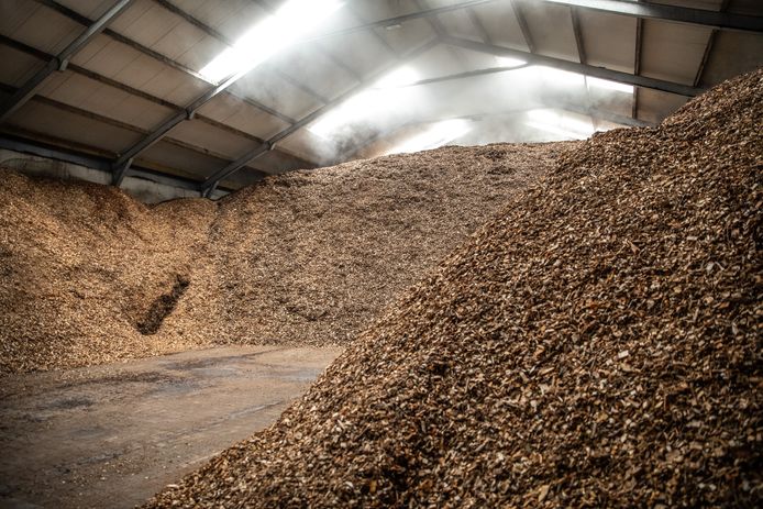 Binnen kijken bij een biomassacentrale