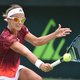 Flipkens door, Mestach out in kwalificaties Indian Wells
