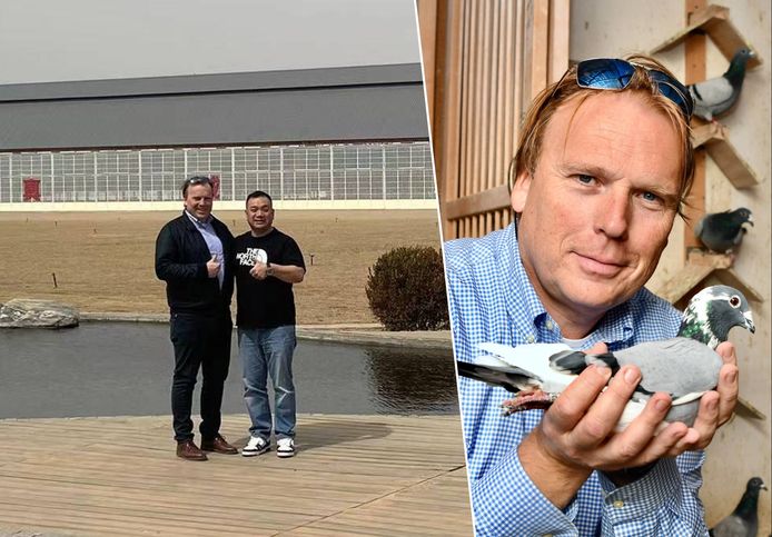 Duivenkweker Kurt Platteeuw bezocht tijdens zijn rondreis in China onder andere een liefhebber met een duiventil van liefst 300 meter lang.
