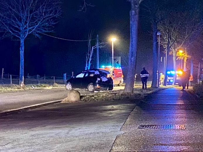 PUURS-SINT-AMANDS - Een wagen botste donderdagavond tegen een boom. De passagier raakte gewond. Hij werd door de brandweer bevrijd.