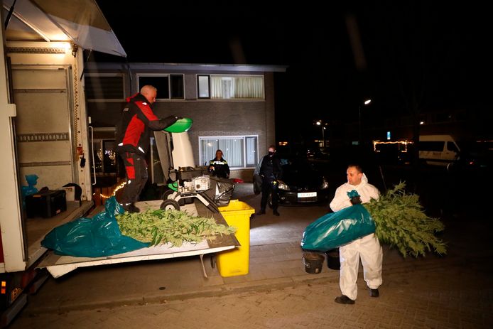 Hennepkwekerijen oprollen doet de politie nog wel, maar er actief naar op zoek gaan daar heeft ze geen tijd meer voor, aldus burgemeester Bolsius.