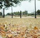 ‘Extreem hoog brandgevaar’: code rood in Antwerpse natuurgebieden