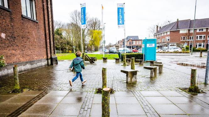 Bomenkap rond het Weizigtpark blijft de gemoederen bezig houden: ‘We zijn buitengewoon pissig’
