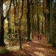 Staatsbosbeheer begint met verkoop natuur