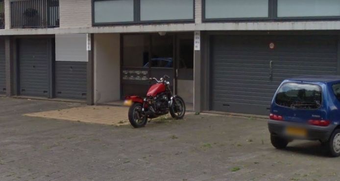 De bewuste motorfiets, zonder zadel en met groeiend groen er omheen.