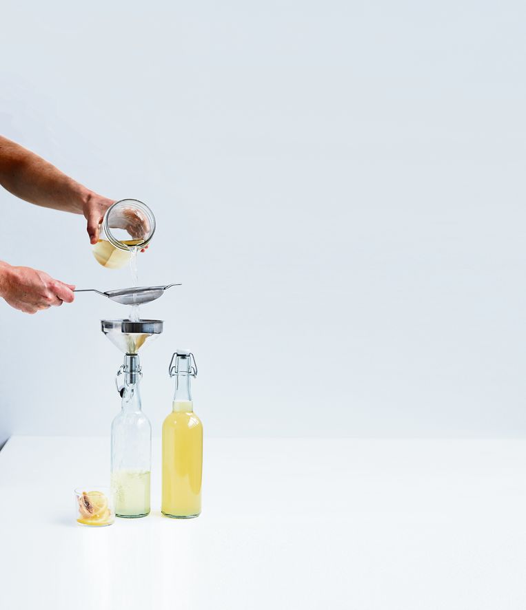 Kombucha Een Zuur Drankje Wellicht Gezond En Een Goed Alternatief Voor Wijn De Morgen