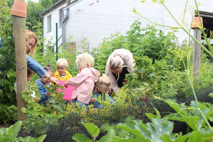 Kinderopvang Clara di Luna heeft eigen moes- en fruittuin waarin kinderen hun groenten en fruit zélf kweken en plukken. I-pads en televisie zijn er niet welkom