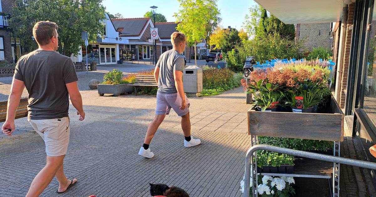 Praat mee: Welke winkel zou jij er wel bij willen in Schipluiden, Den Hoorn of Maasland?