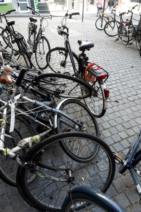 Un tour de Belgique à vélo? C’est le défi que se lancent des élèves carolos cet été