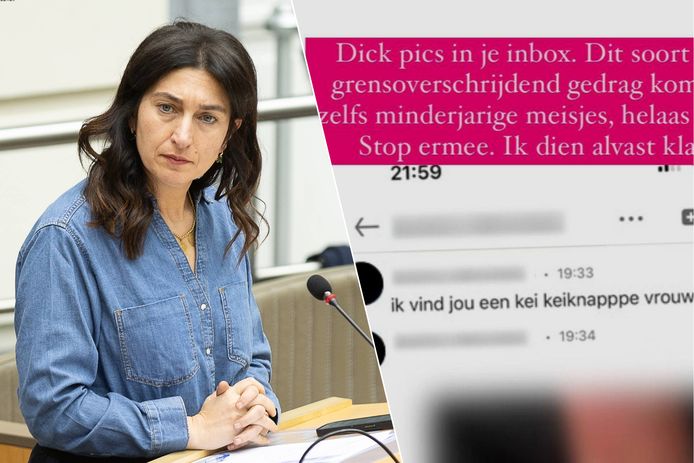 Vlaams minister van Omgeving Zuhal Demir (N-VA) heeft een klacht ingediend nadat ze een ‘dickpic’ heeft ontvangen.
