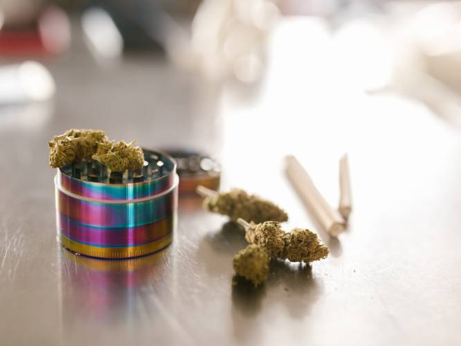 45 grinders en rookpijpjes aangetroffen bij controles van lokale politie 