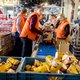Belgische supermarkten schenken meer voedsel weg