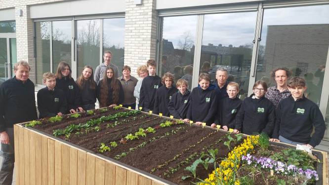 VABI zet urban gardening in de kijker tijdens Plant-en tuindag