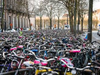 Stad en politie voorstander van camerabewaking in fietsenstallingen stations