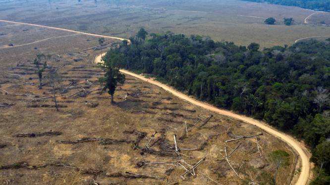 Ontbossing Amazonewoud in Brazilië gaat in sneltempo verder ...
