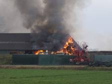 Grote brand in stal met 1500 geiten in Dongen