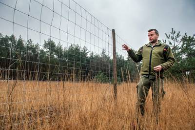 Gezocht: ruimte voor 140.000 bomen in West-Brabant